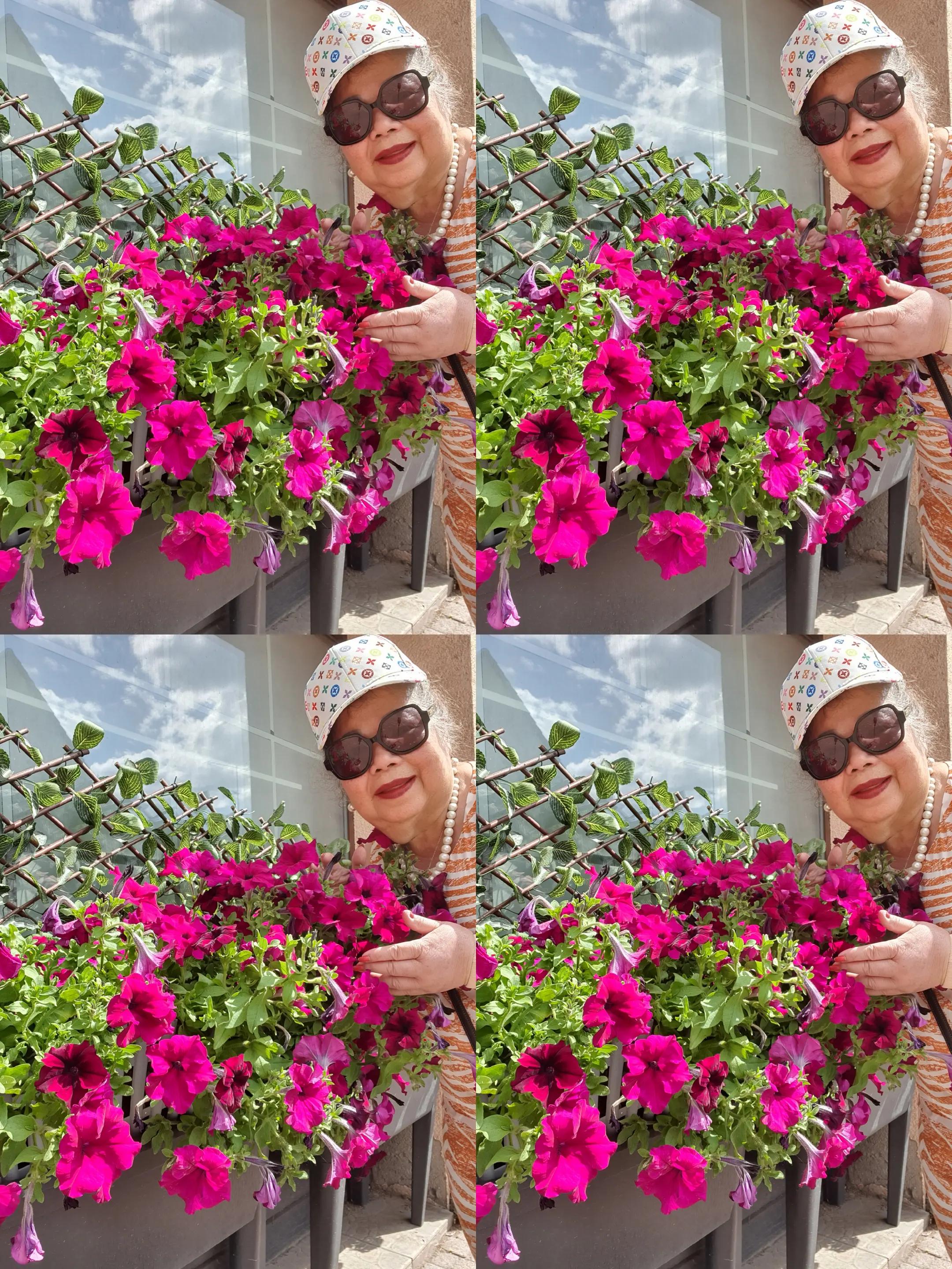 @Bạch yến hoàng
