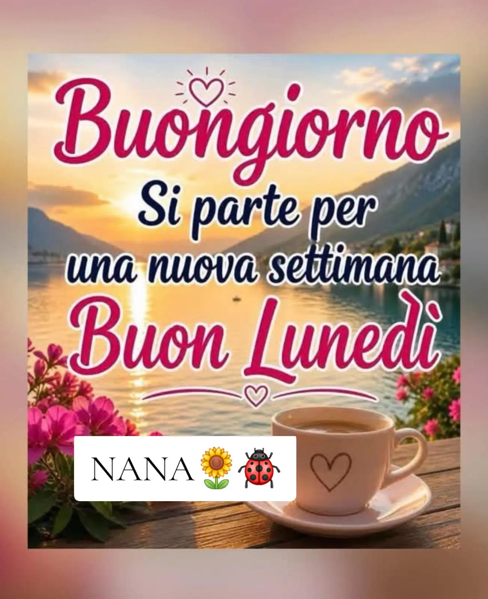 @NANA MUM LIFE 🌻🐞