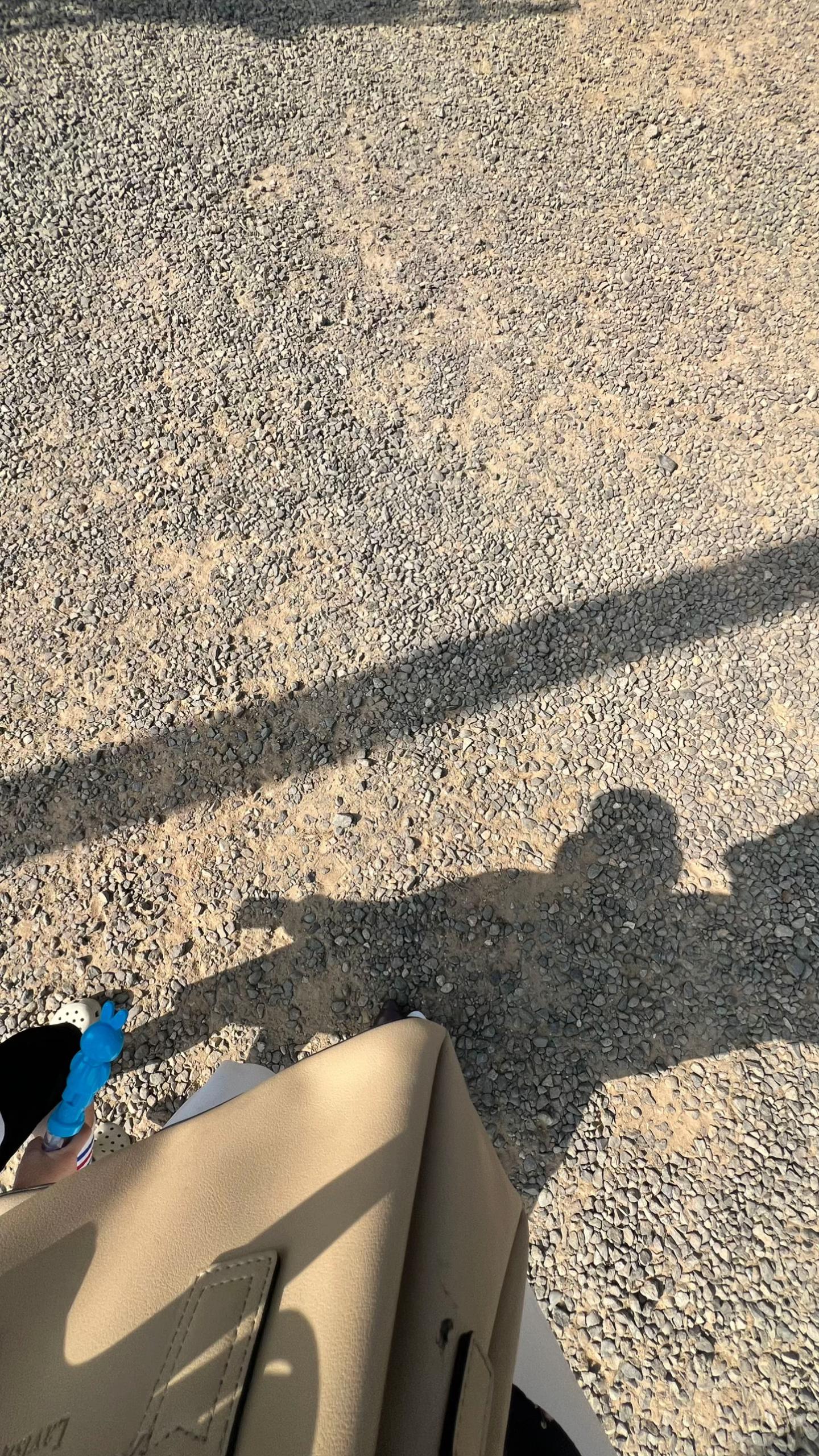 @Anilubis