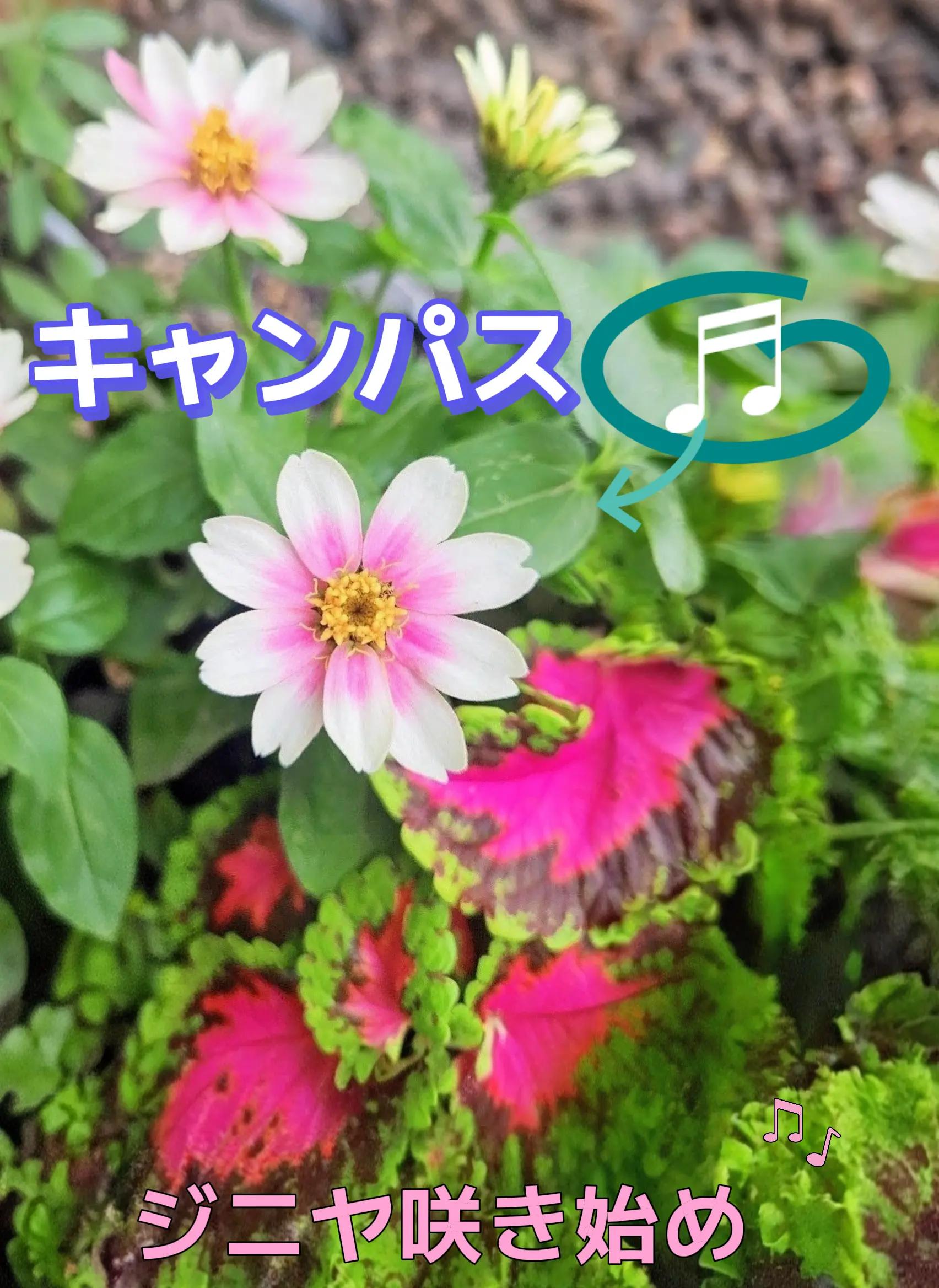 @TERU
