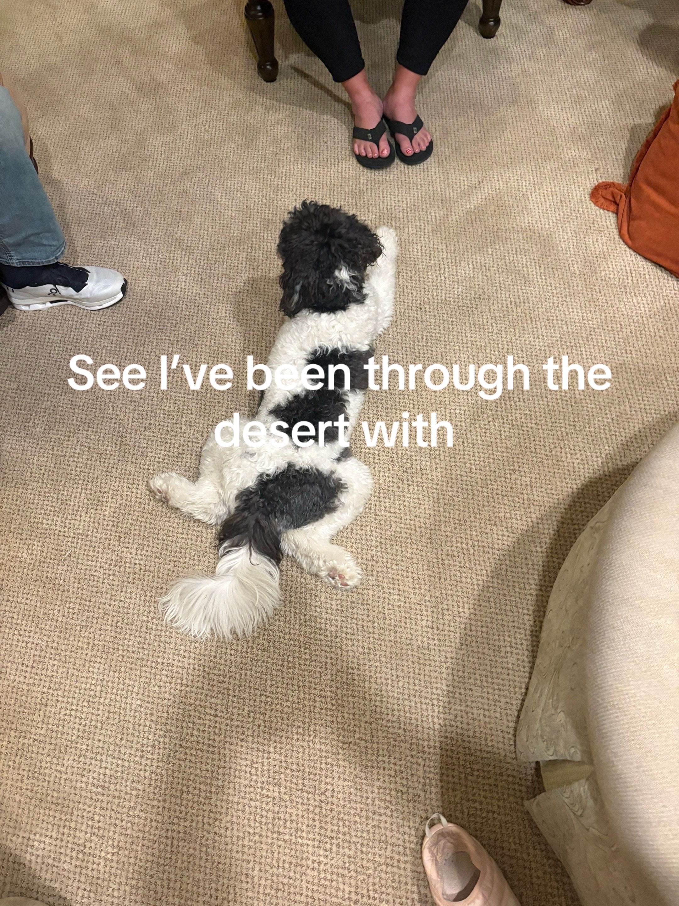 @Eb
