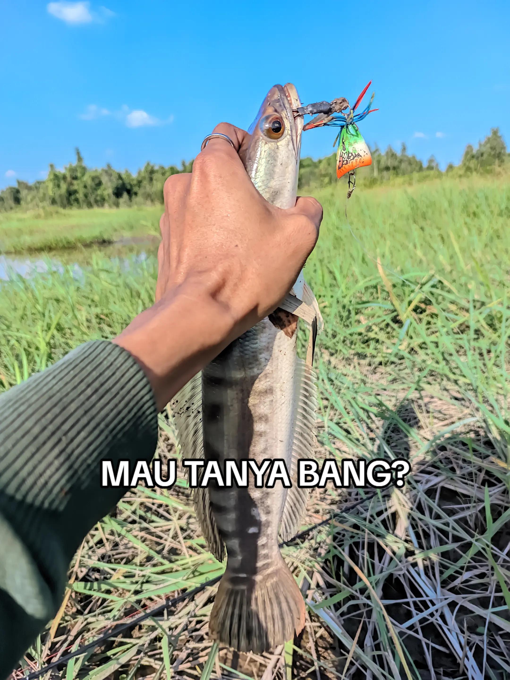 @San Fishing