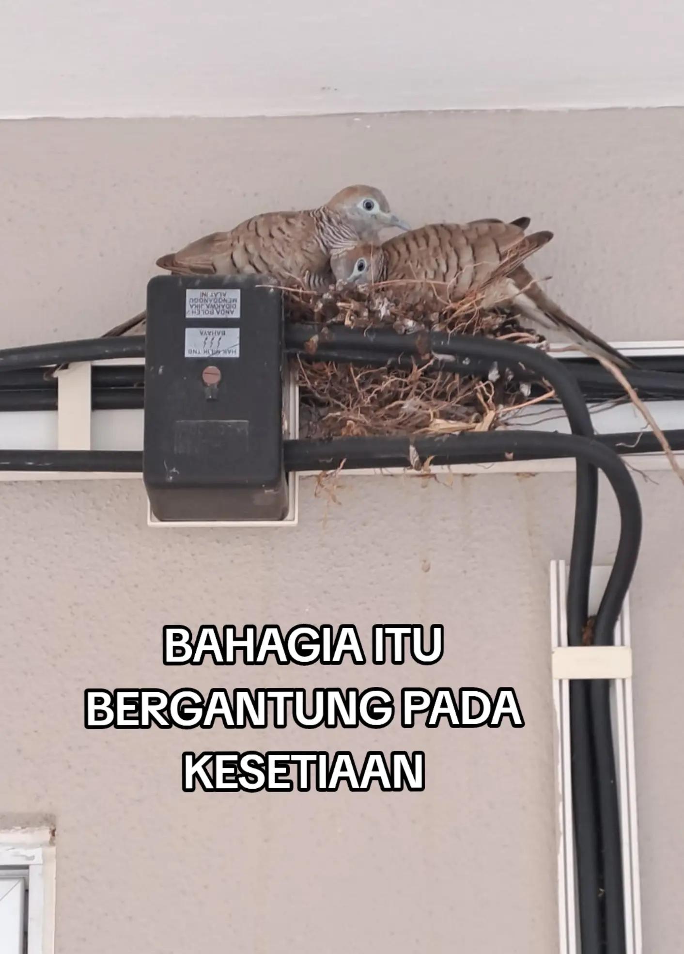 @anwar