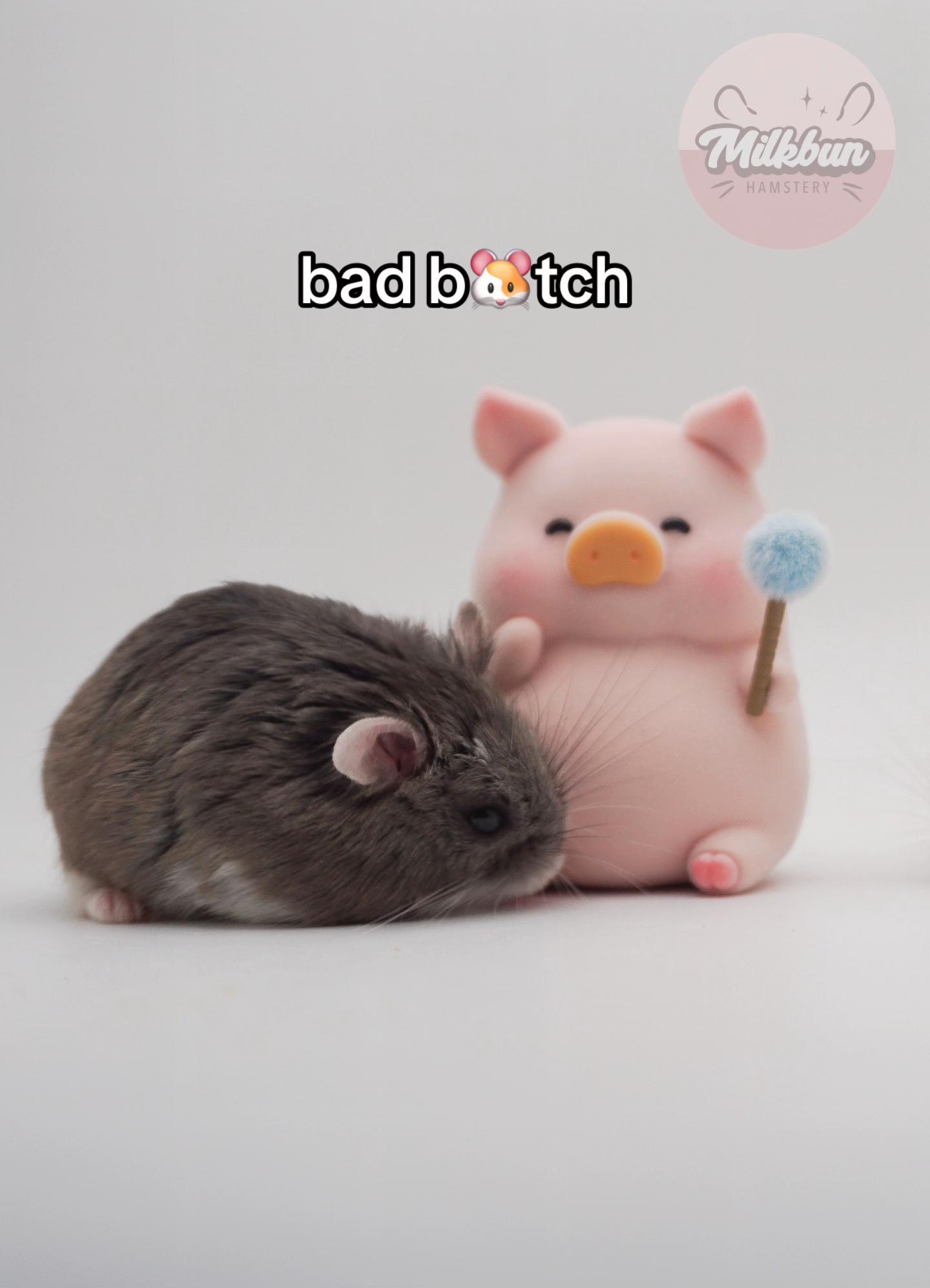 @Milkbun Hamstery 🍡