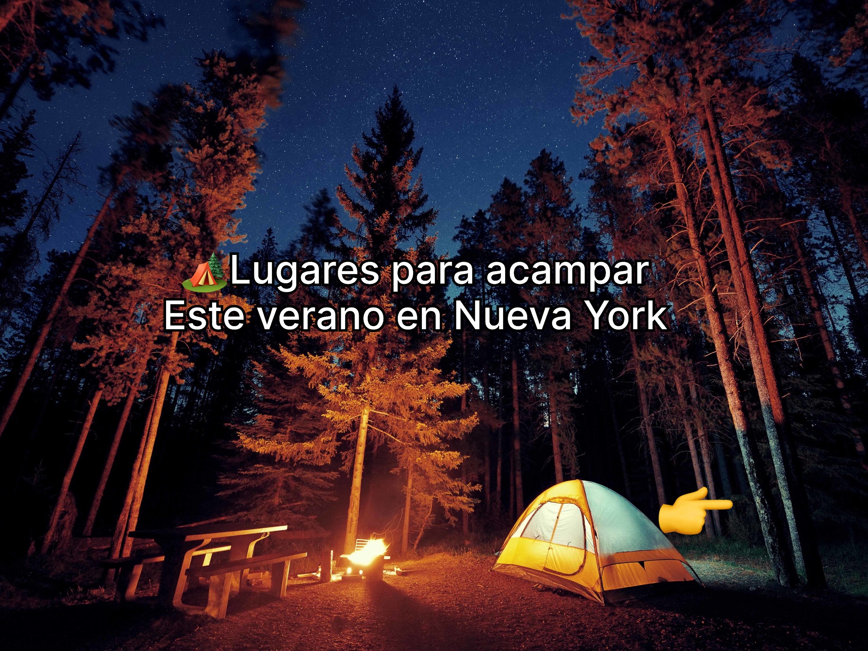 @Camilo&ensp;N&uacute;&ntilde;ez