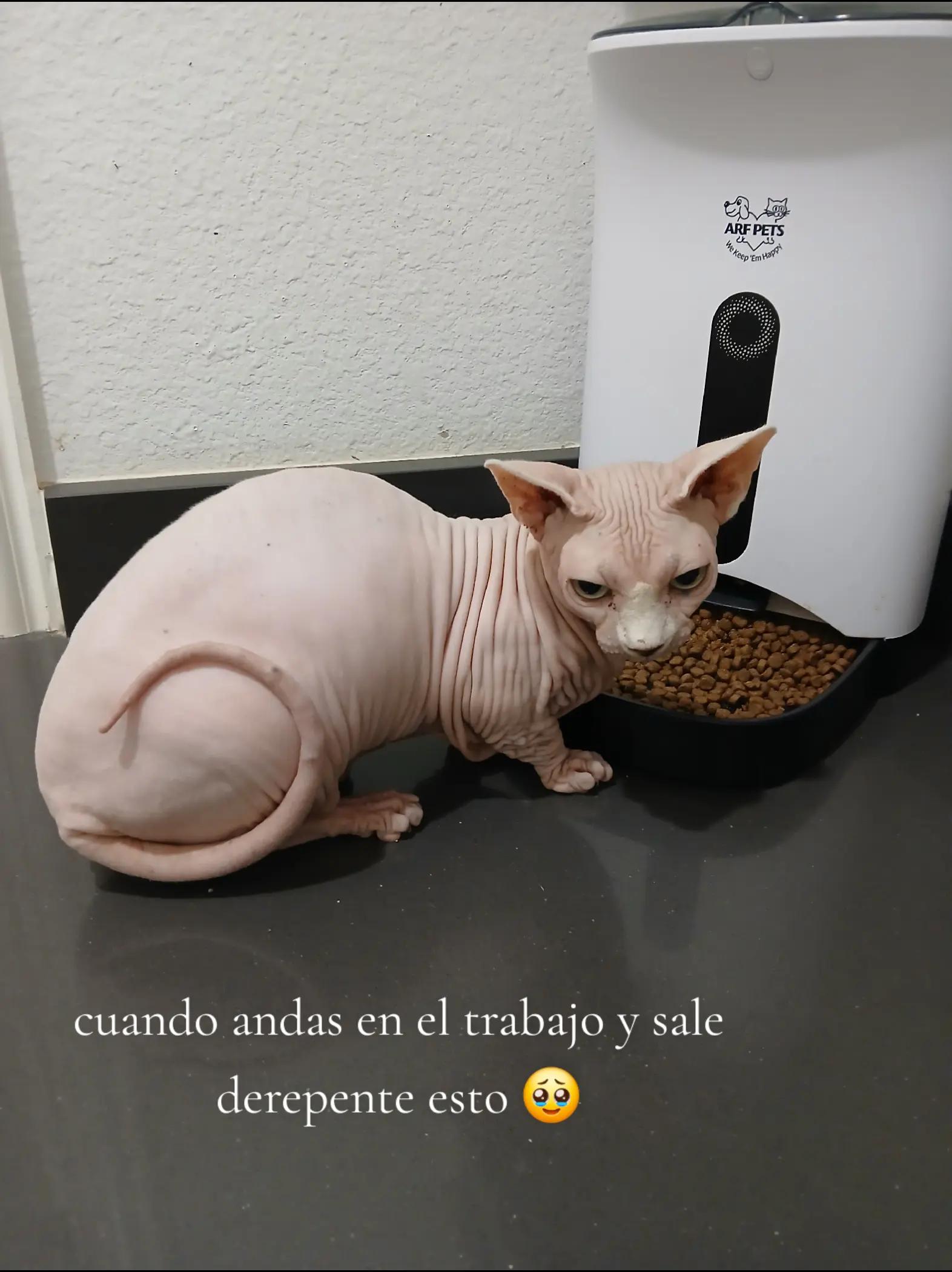 @marydiaz2817