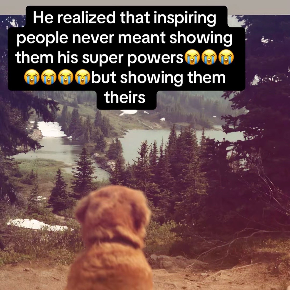 @Ethan_Brando