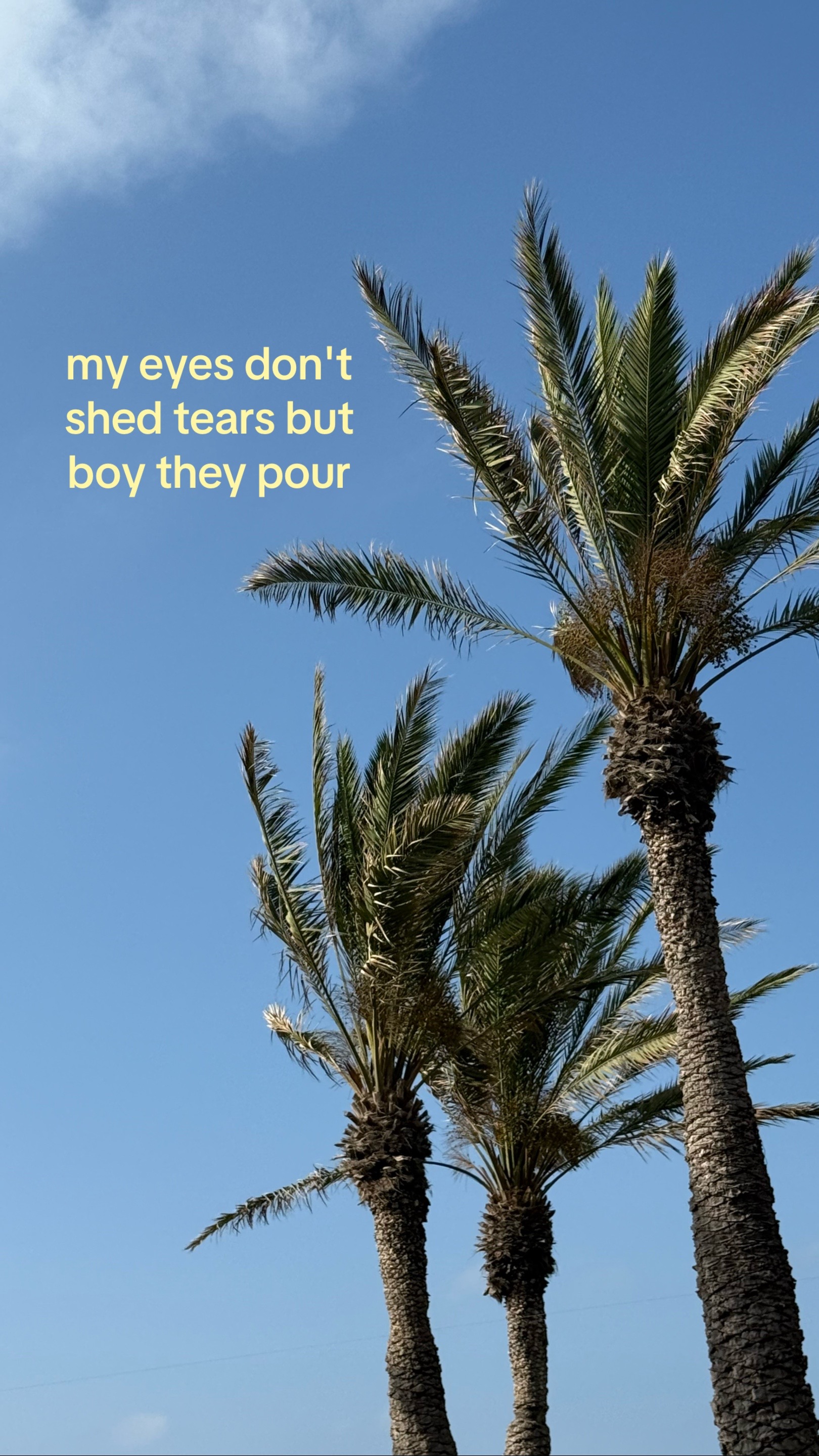 @عليا 𓂆