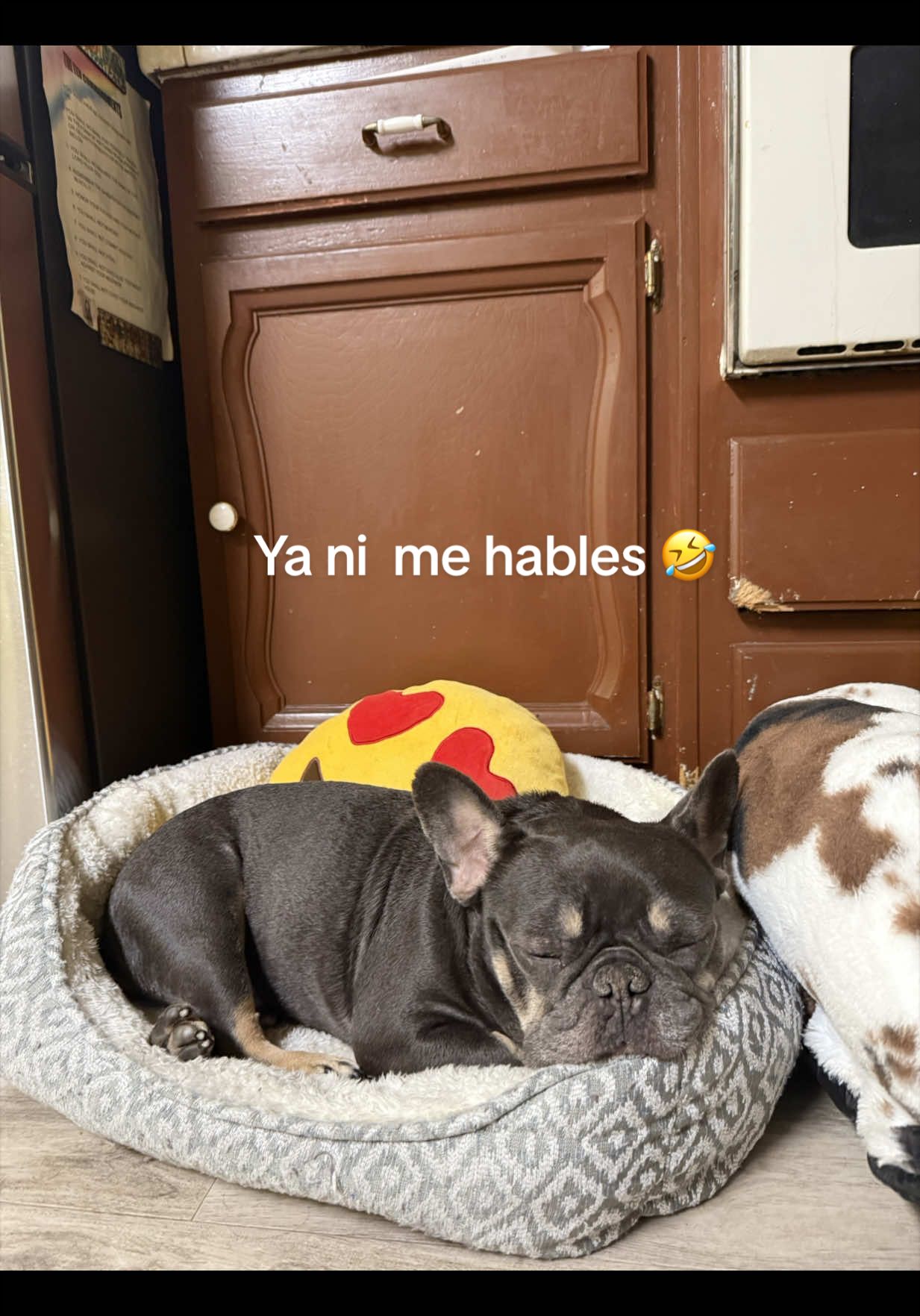 @Maribel Melendez Aguilar ❤️🔥