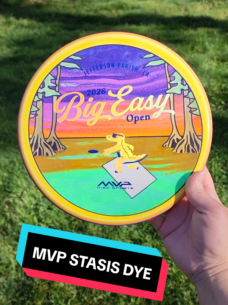 @DiscDyesByMelissa