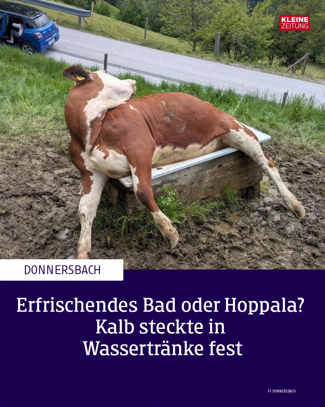 @Kleine Zeitung