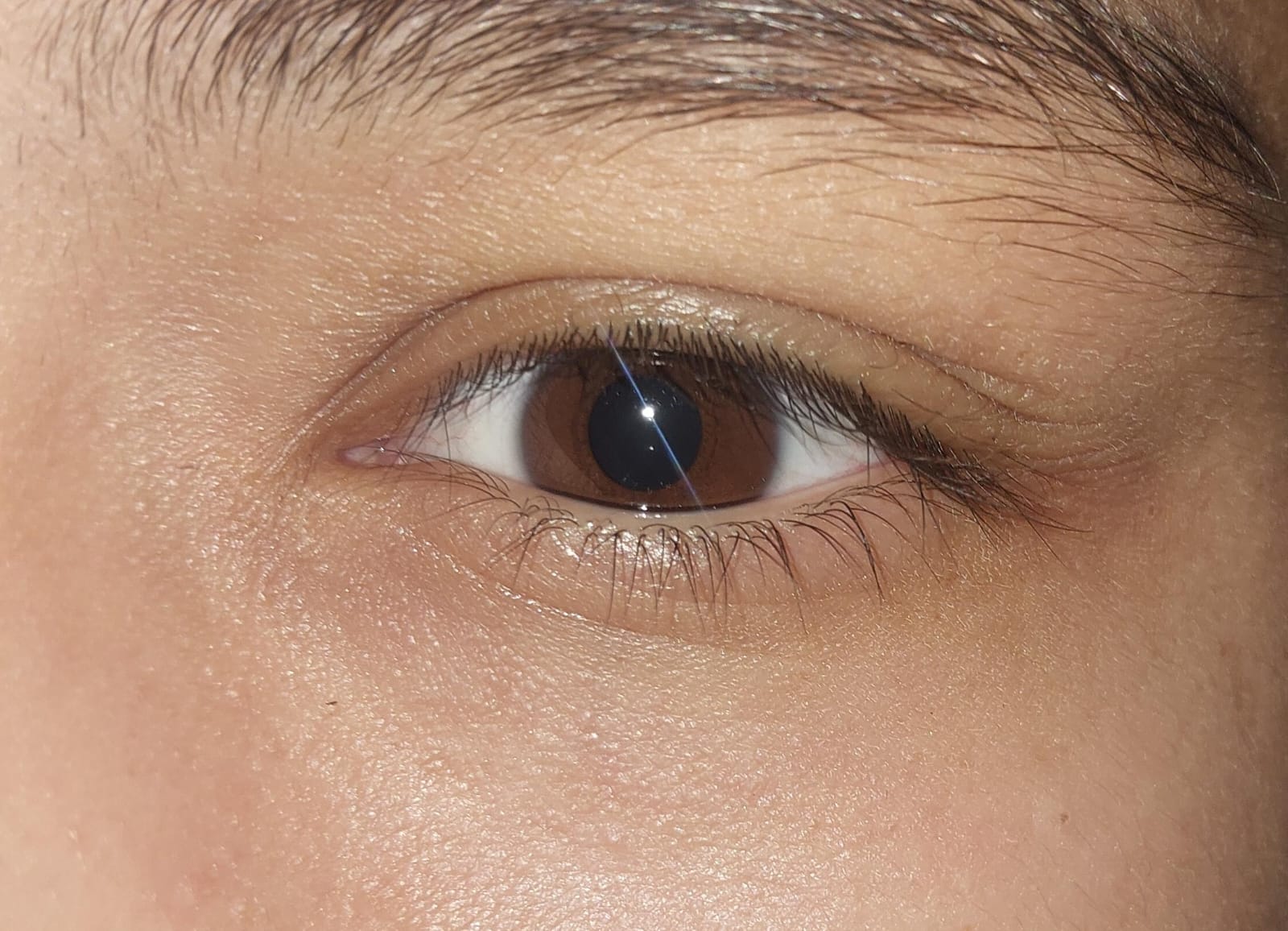 @XXXAPLUMUT
