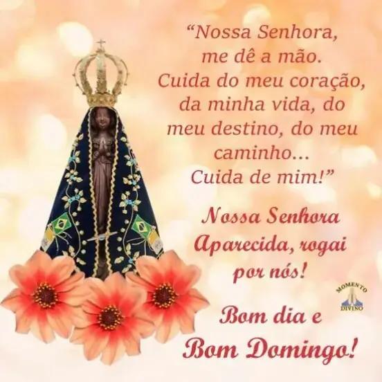 @José carlos