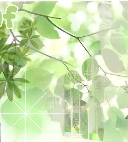 @🍃⤏✧𝐀𝐦𝐞𝐥𝐢𝐚✧⤎🍃