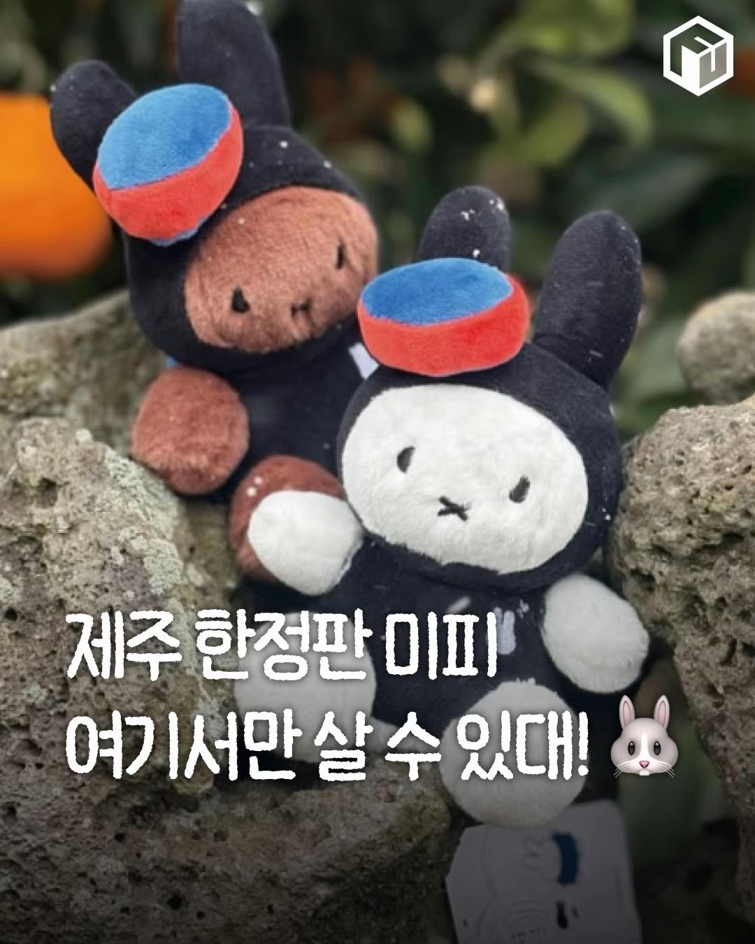@제주톡톡