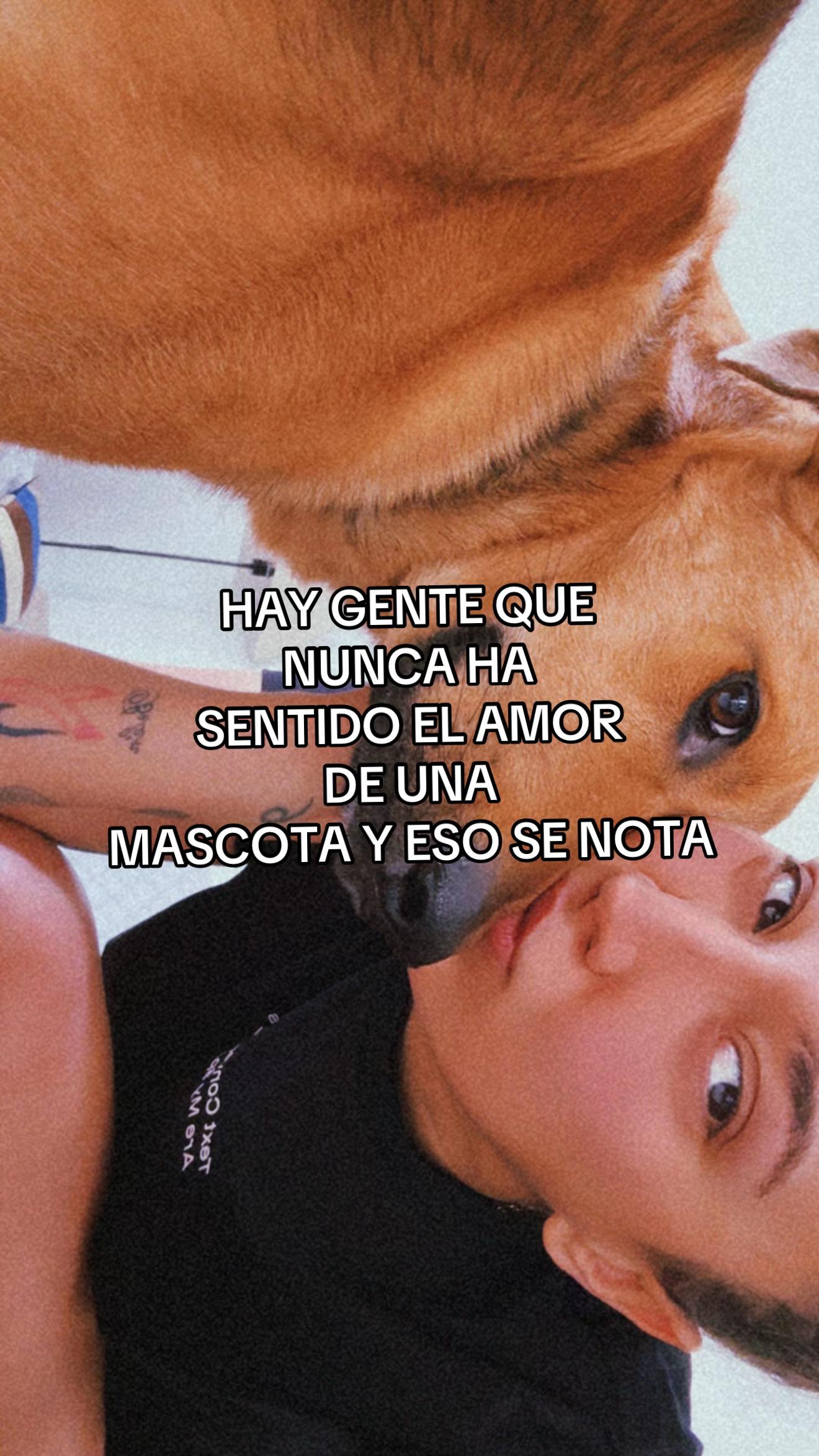 @carol_lamborghini