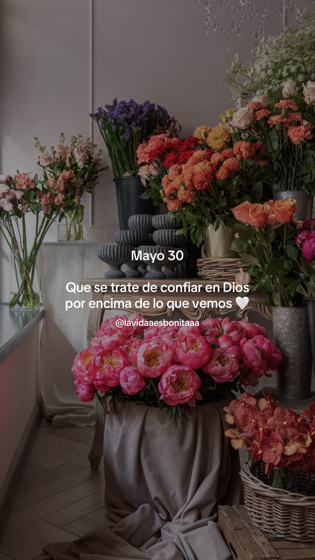 @vidabonita❤️&zwj;🩹