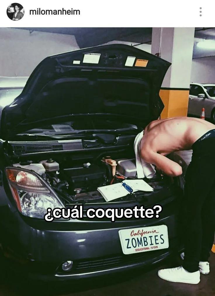 @Valem 🤠 (Milo's Versión)