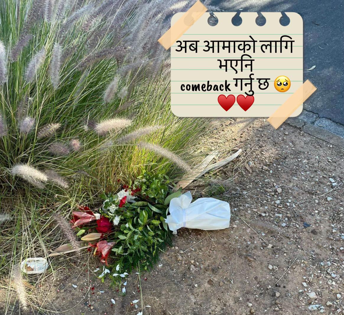 @pandey.jokez