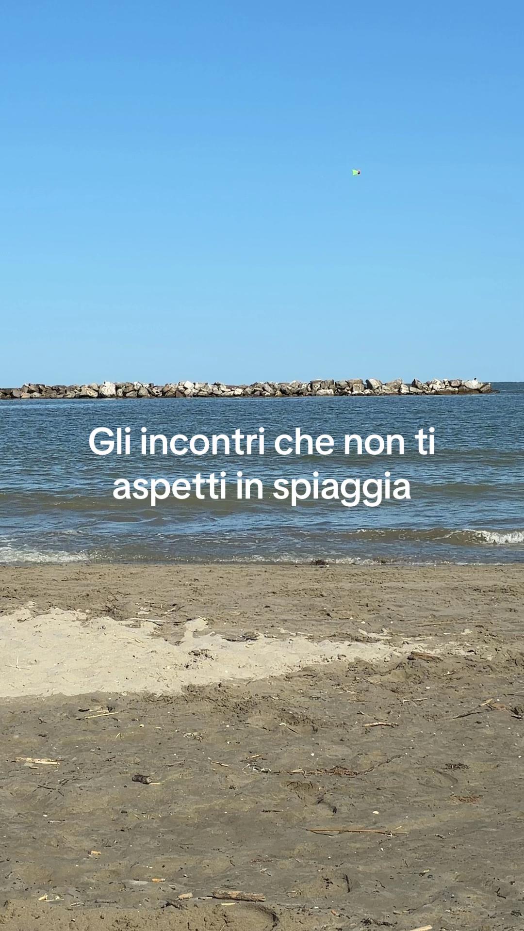 @angela.falletta