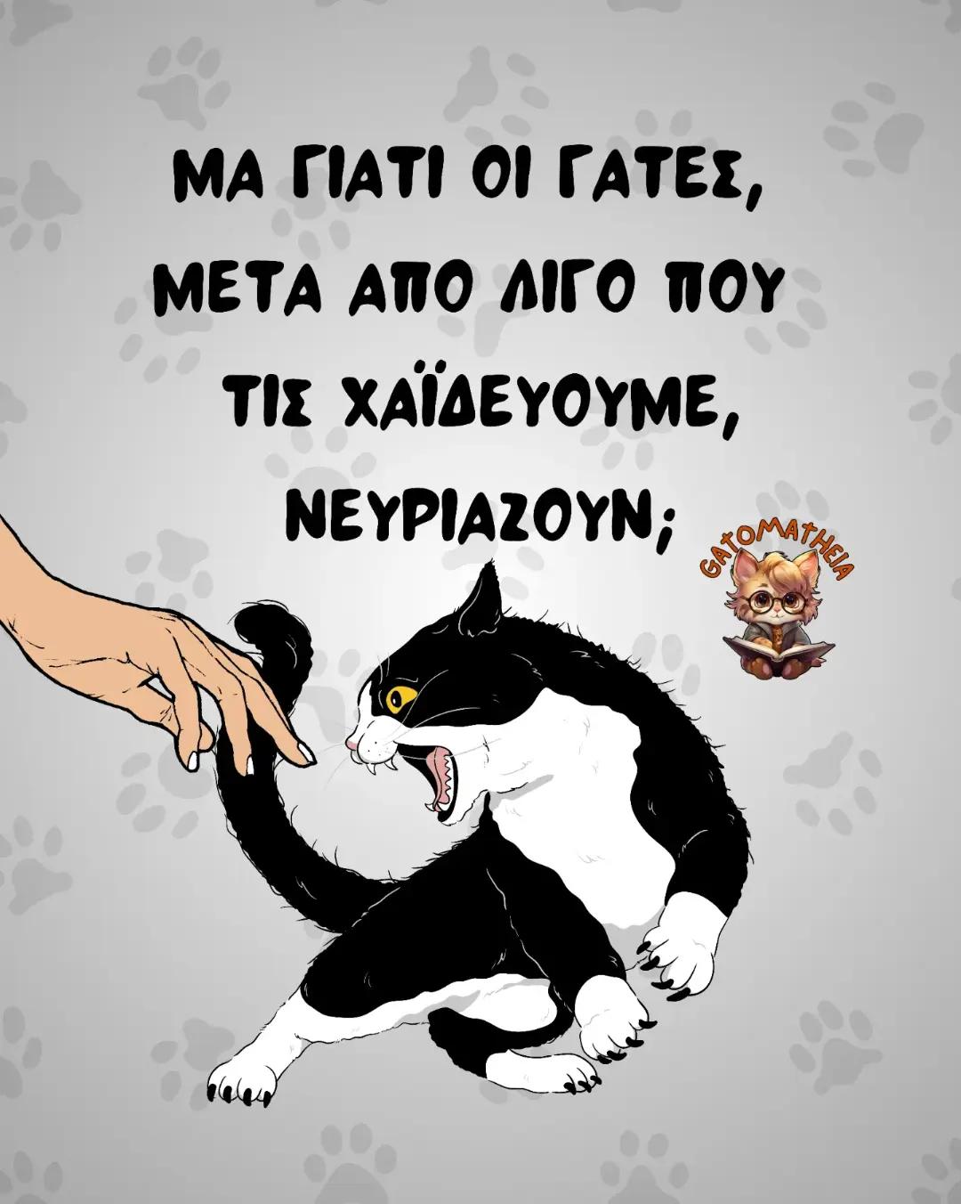 @Γατομάθεια