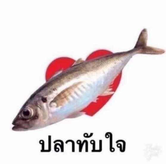 @แอคนี้ต้องการเวลานอน