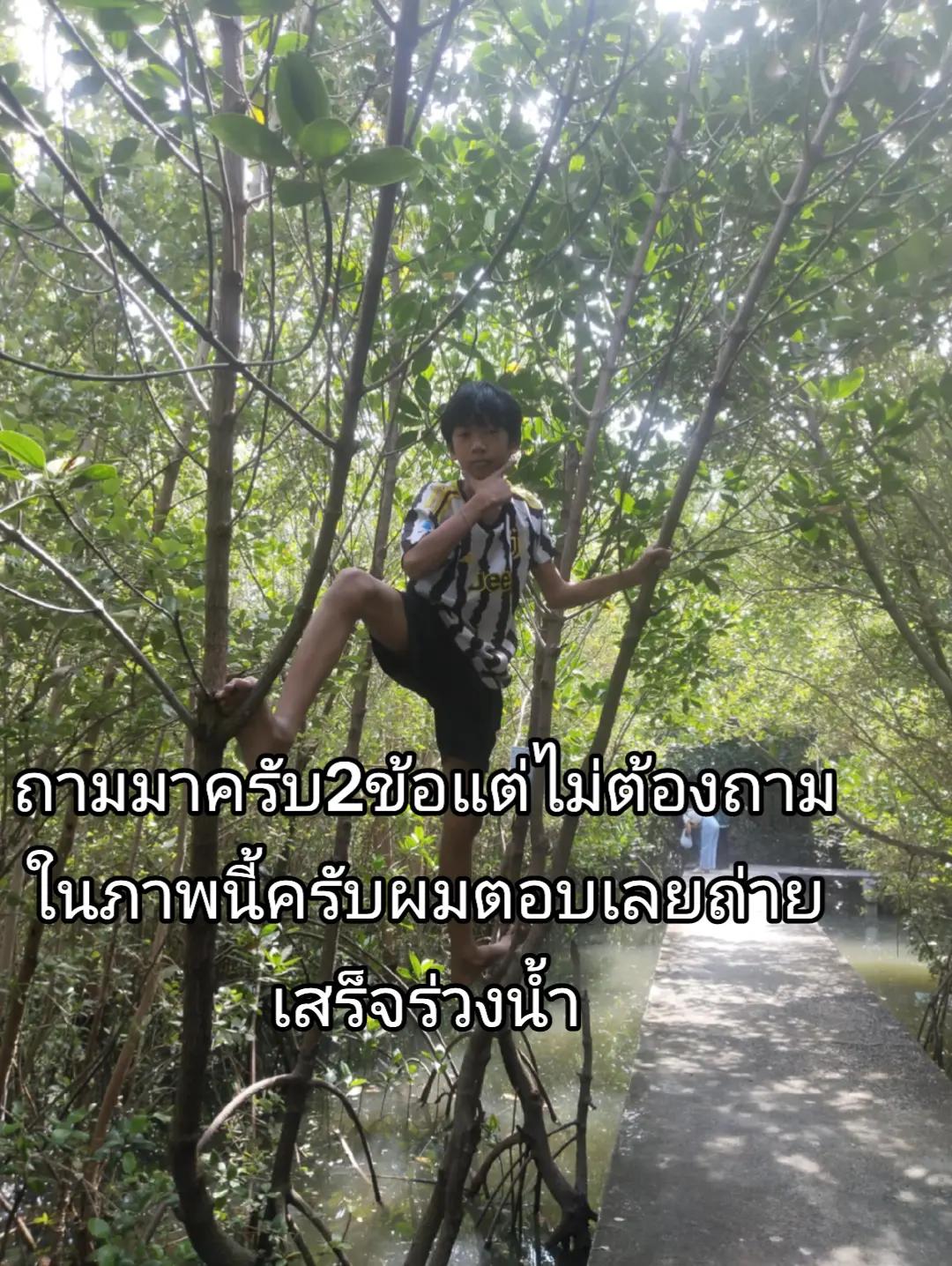 @กันต์หาค่าขนมค้าบ