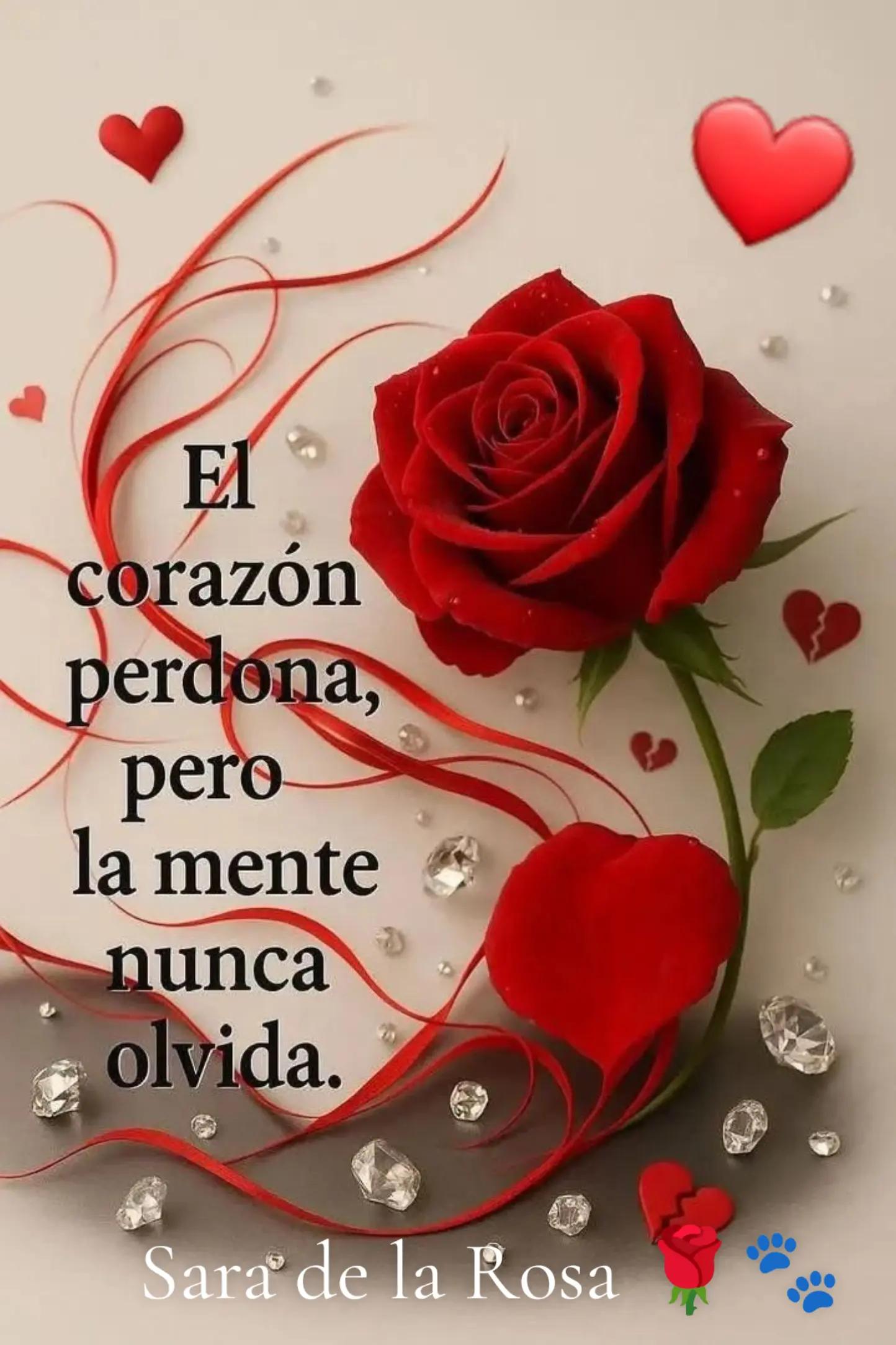 @Chaparrita ☺️❤️🧡💛🩵💙💜2025