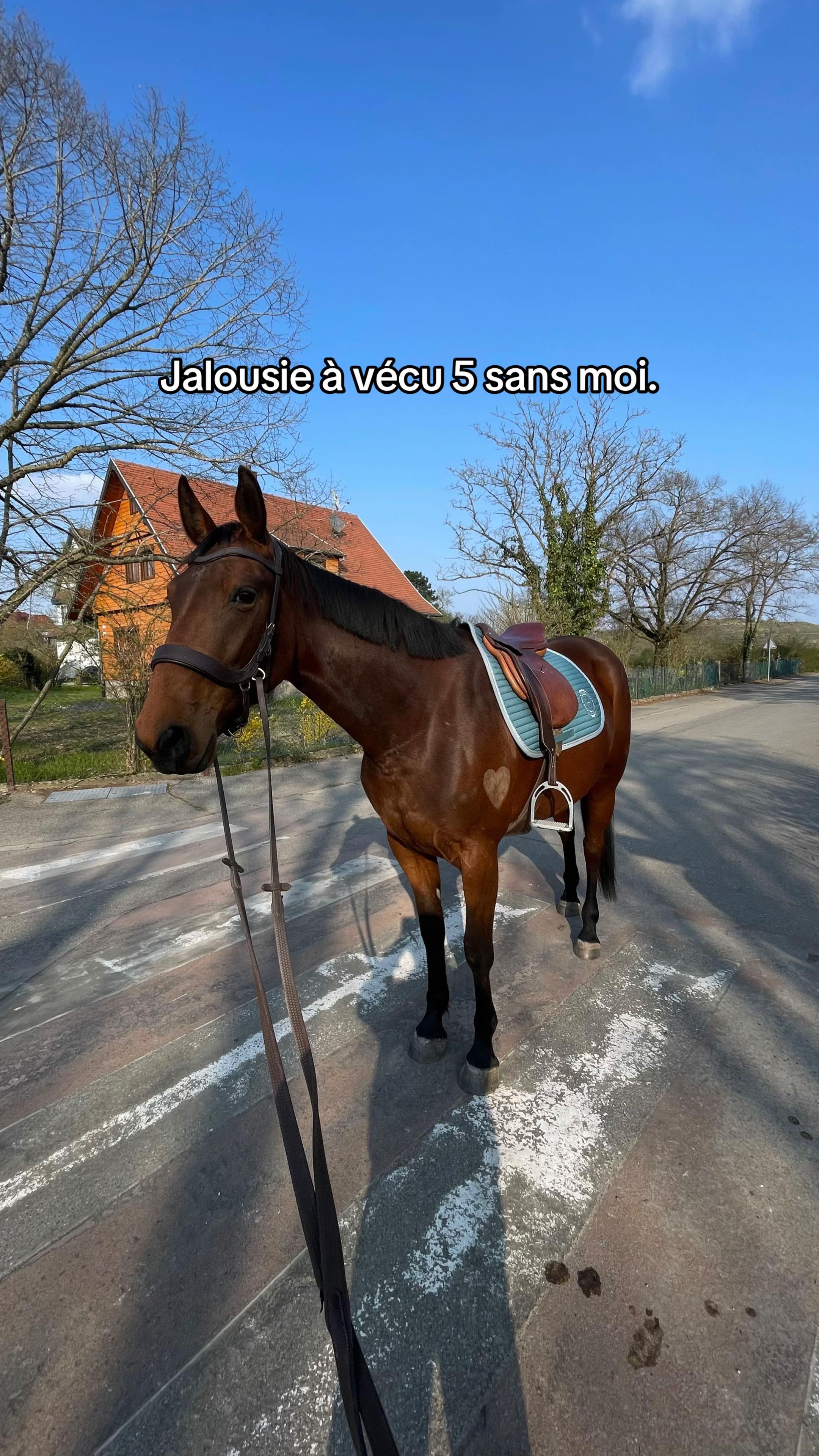 @Jajaland