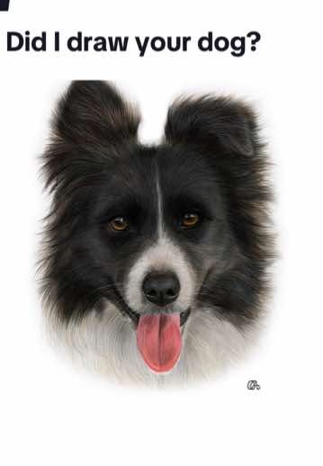 @Caitlin Grace Art