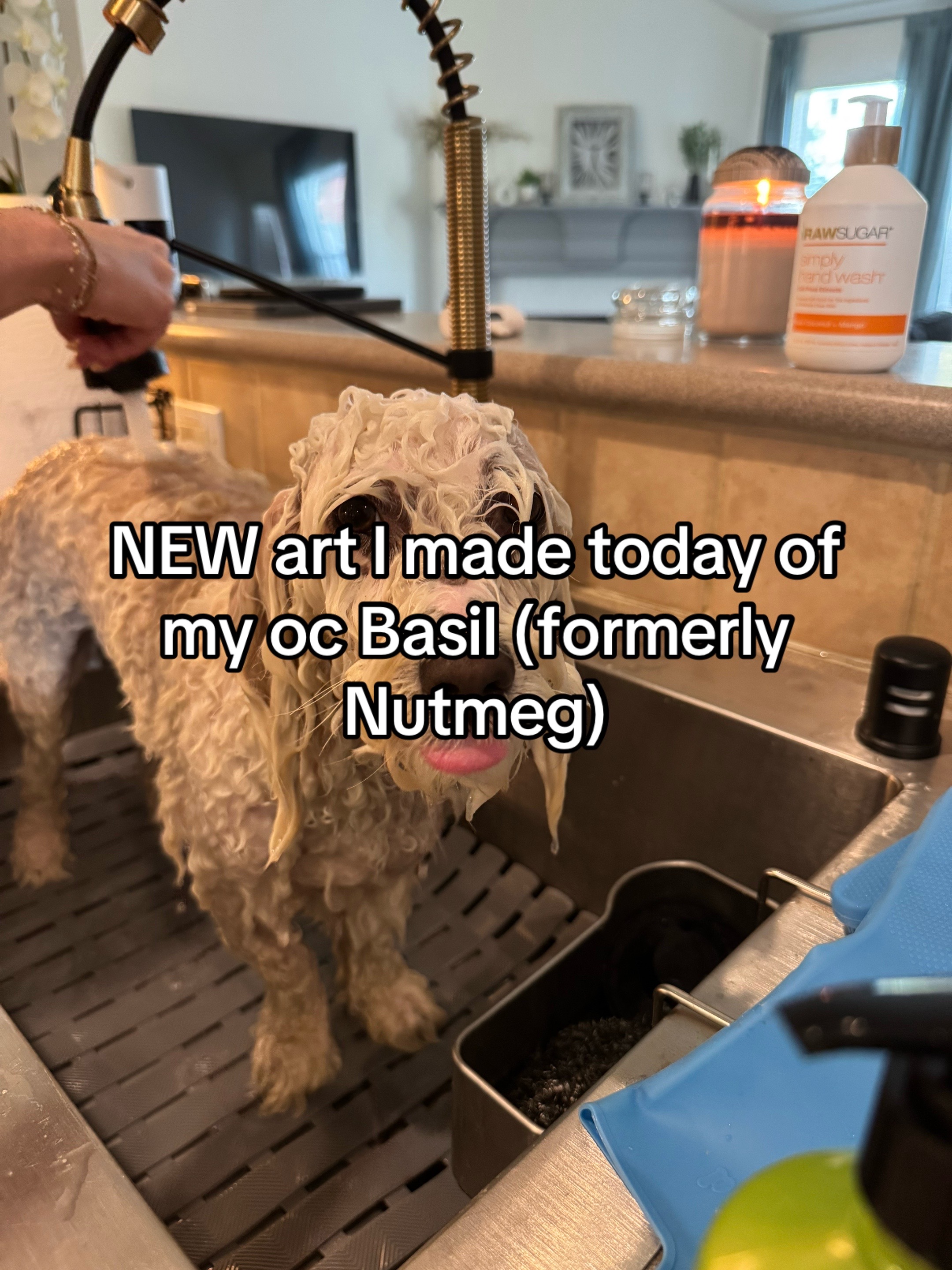 @✿ 🆆🅸🅽🅺 ✿ 1️⃣🌾