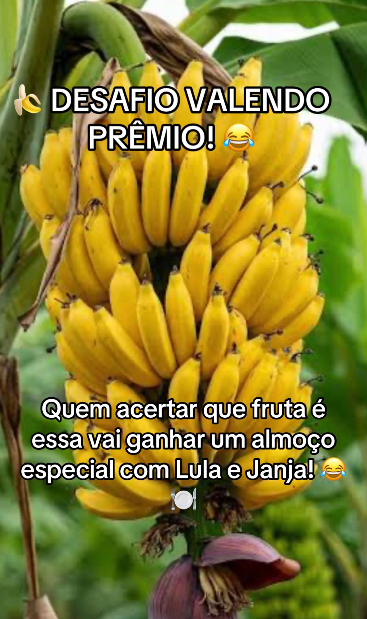@elizangelasousa_