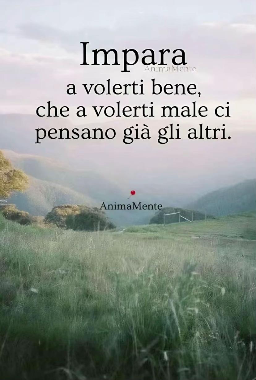 @rosariorizzolo578