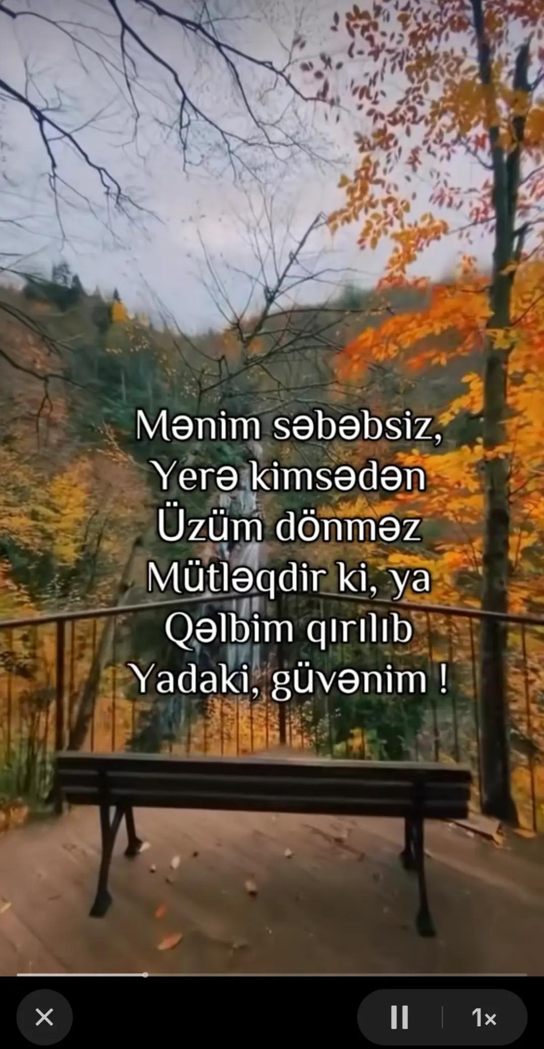 @Xəyalə
