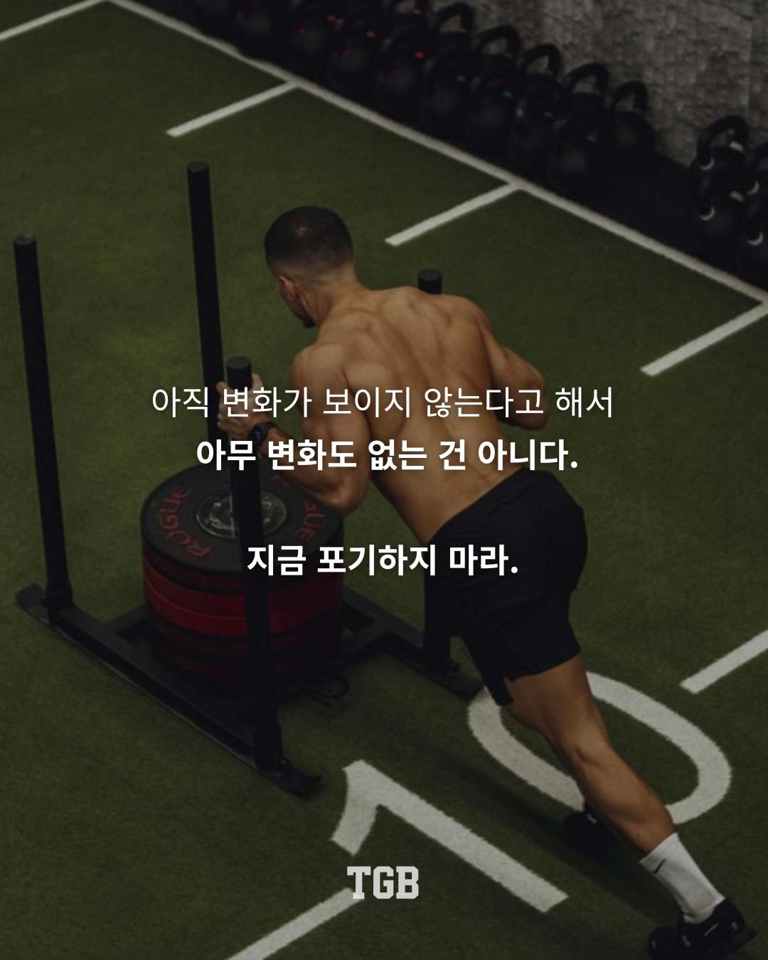@TGB | 더 게인즈 바이블