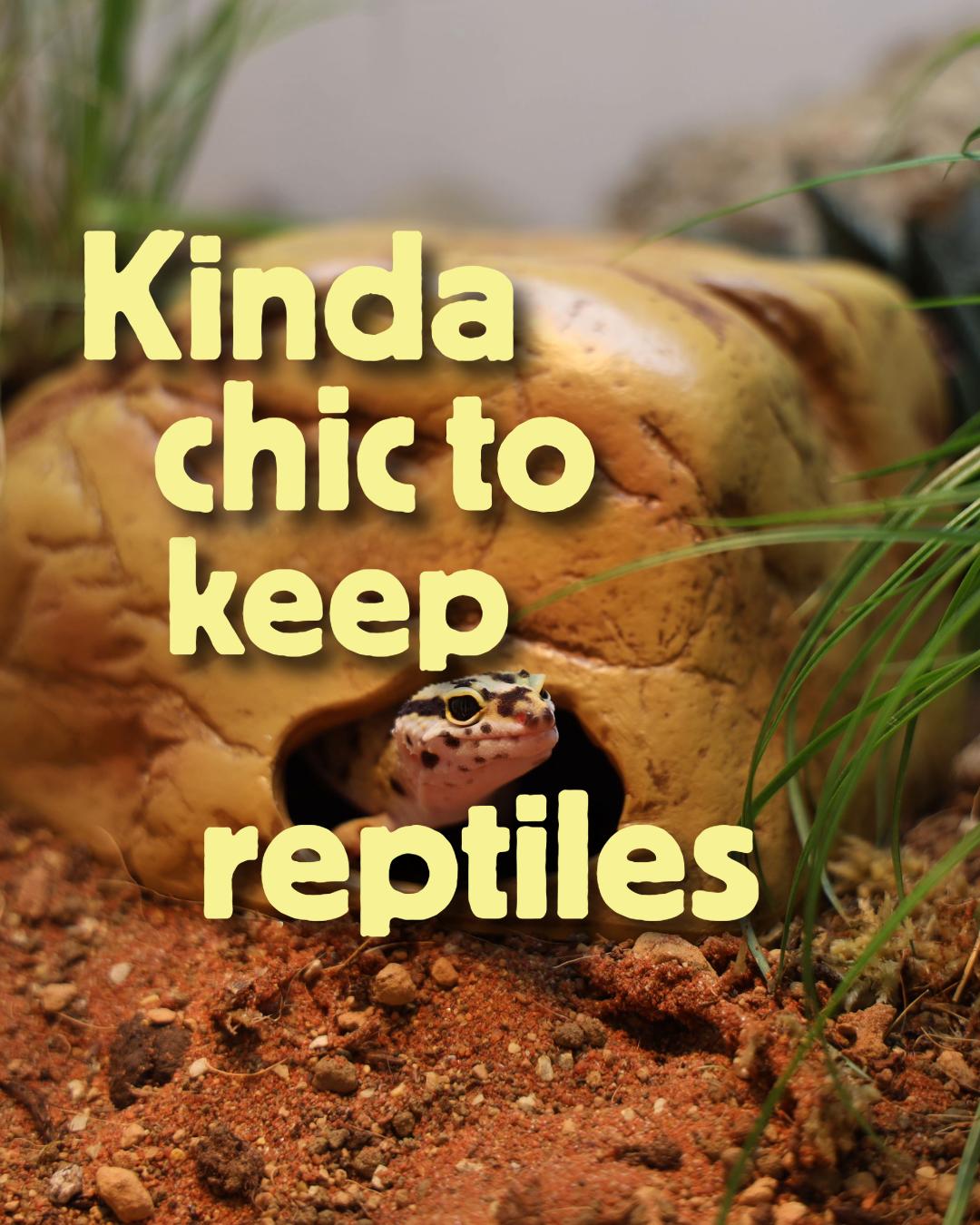 @prorep_reptile