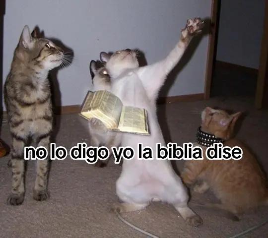 @dogeloco
