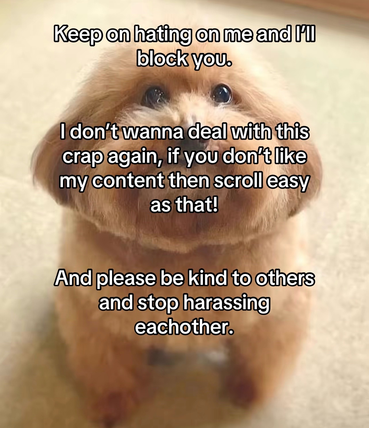 @Chillycheese