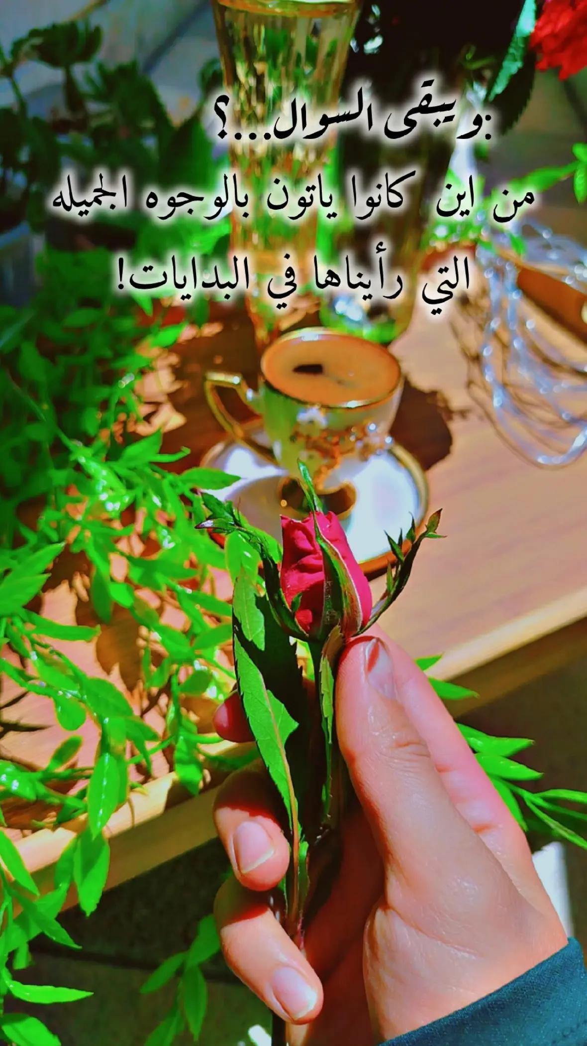 @عبير الورد🍃❤️