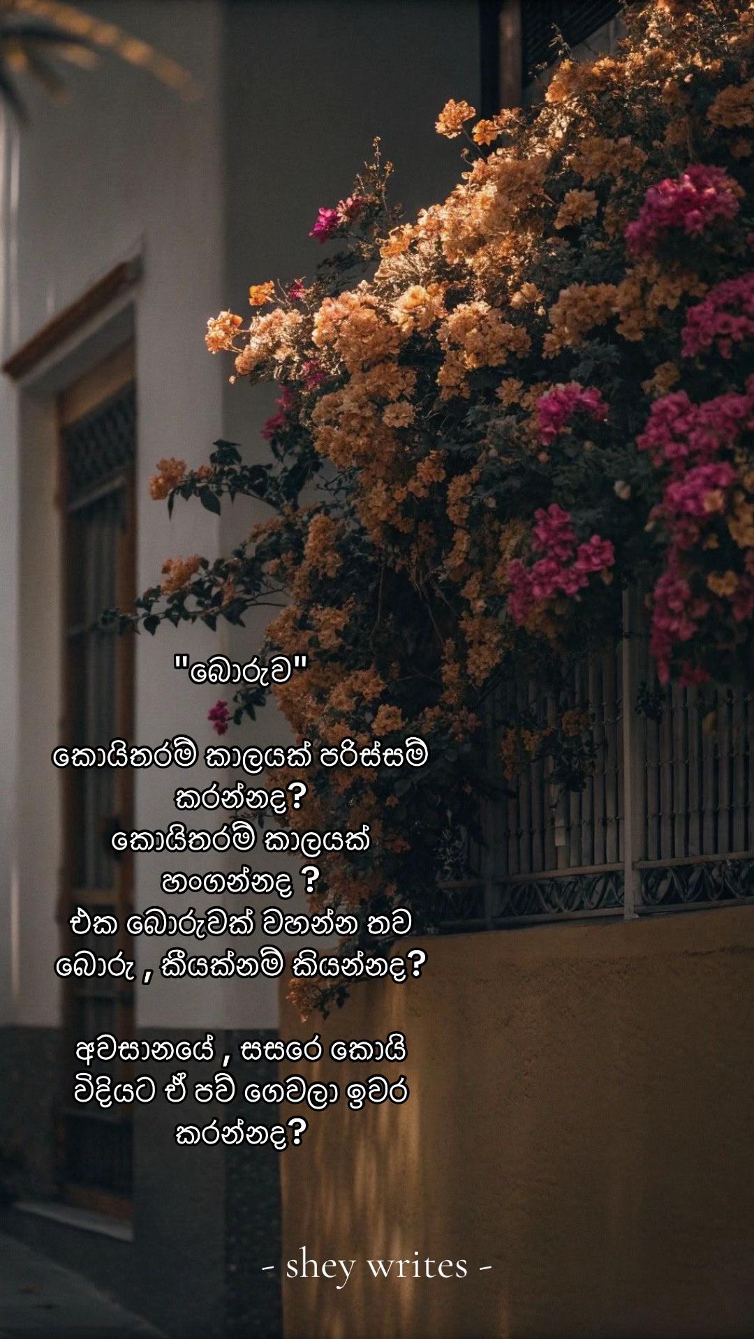 @Shey writes ✨