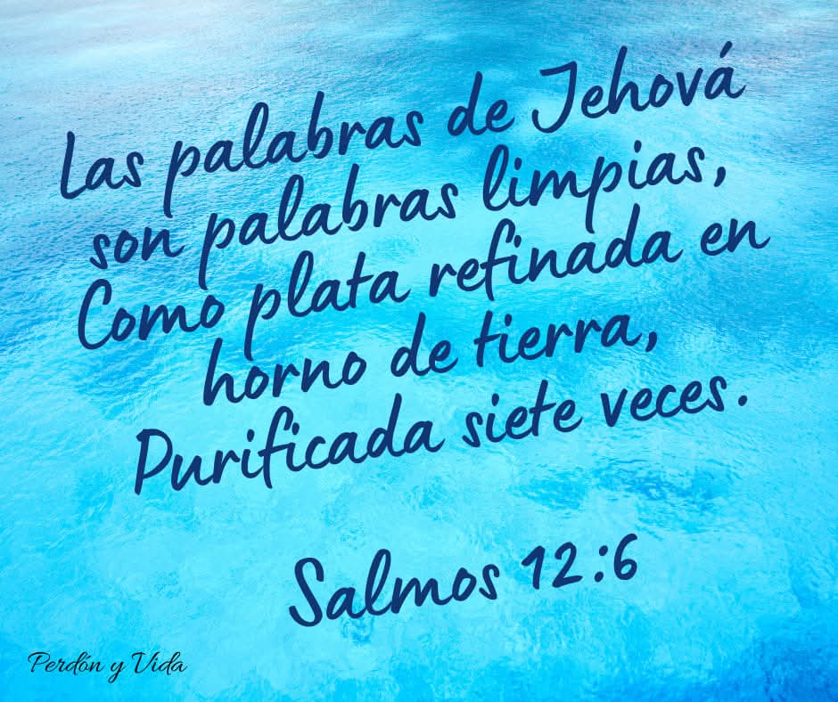@Perd&oacute;n y Vida