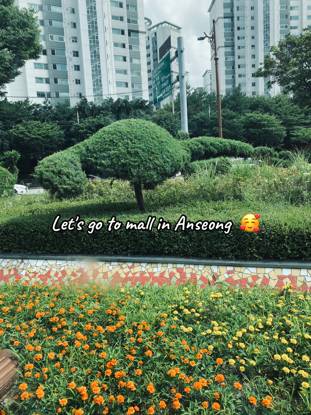 @𝐸𝑦𝑎 🌸