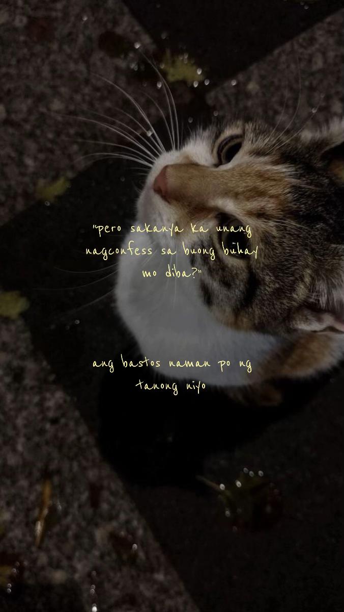 @🕸️