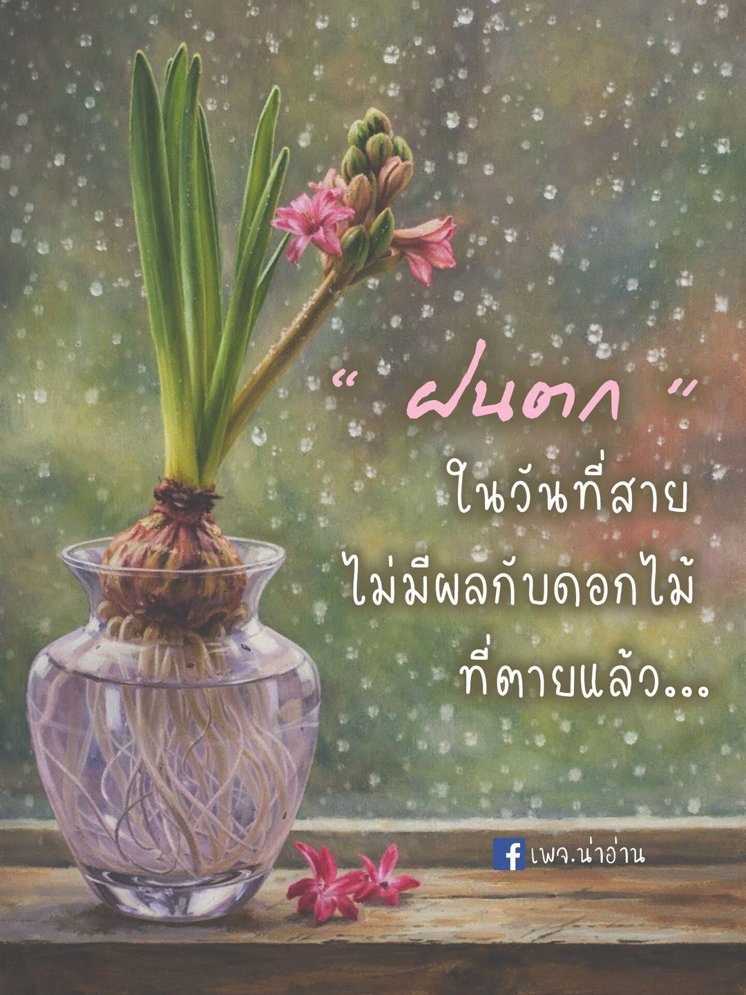 @patcharin_suk19