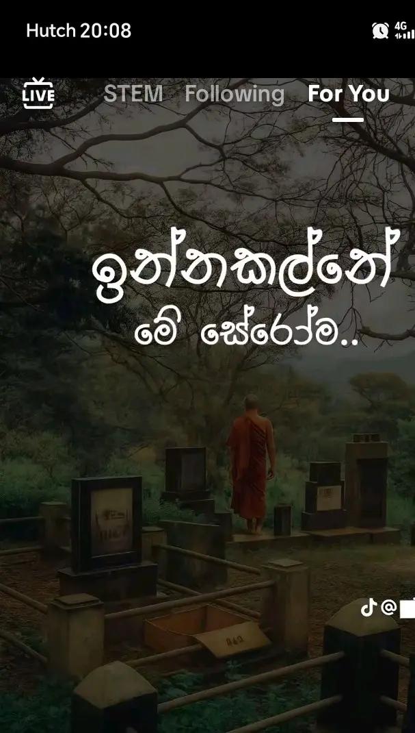 @Dilrukshi