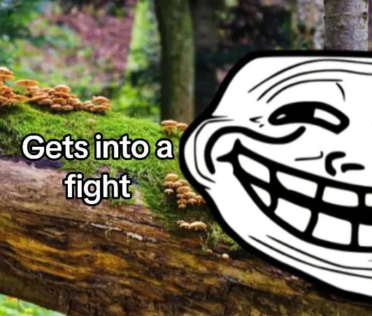 @Taro Yamada