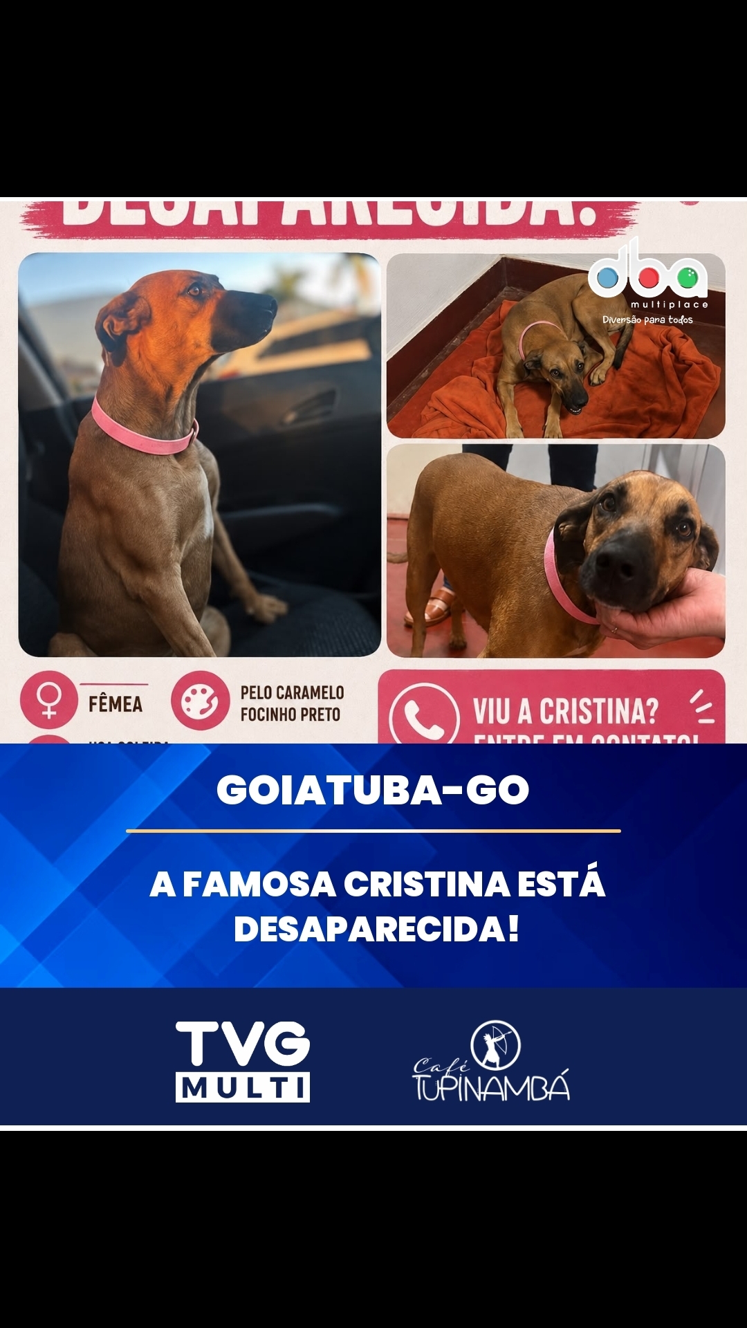 @TVG Multi