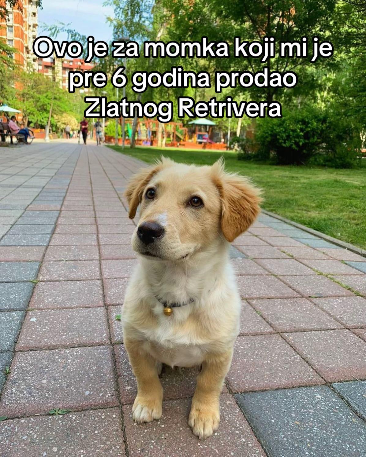 @Dzenan Rizvanovic