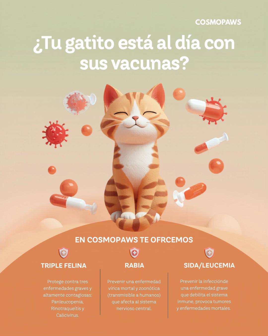 @HeyCosmopaws!