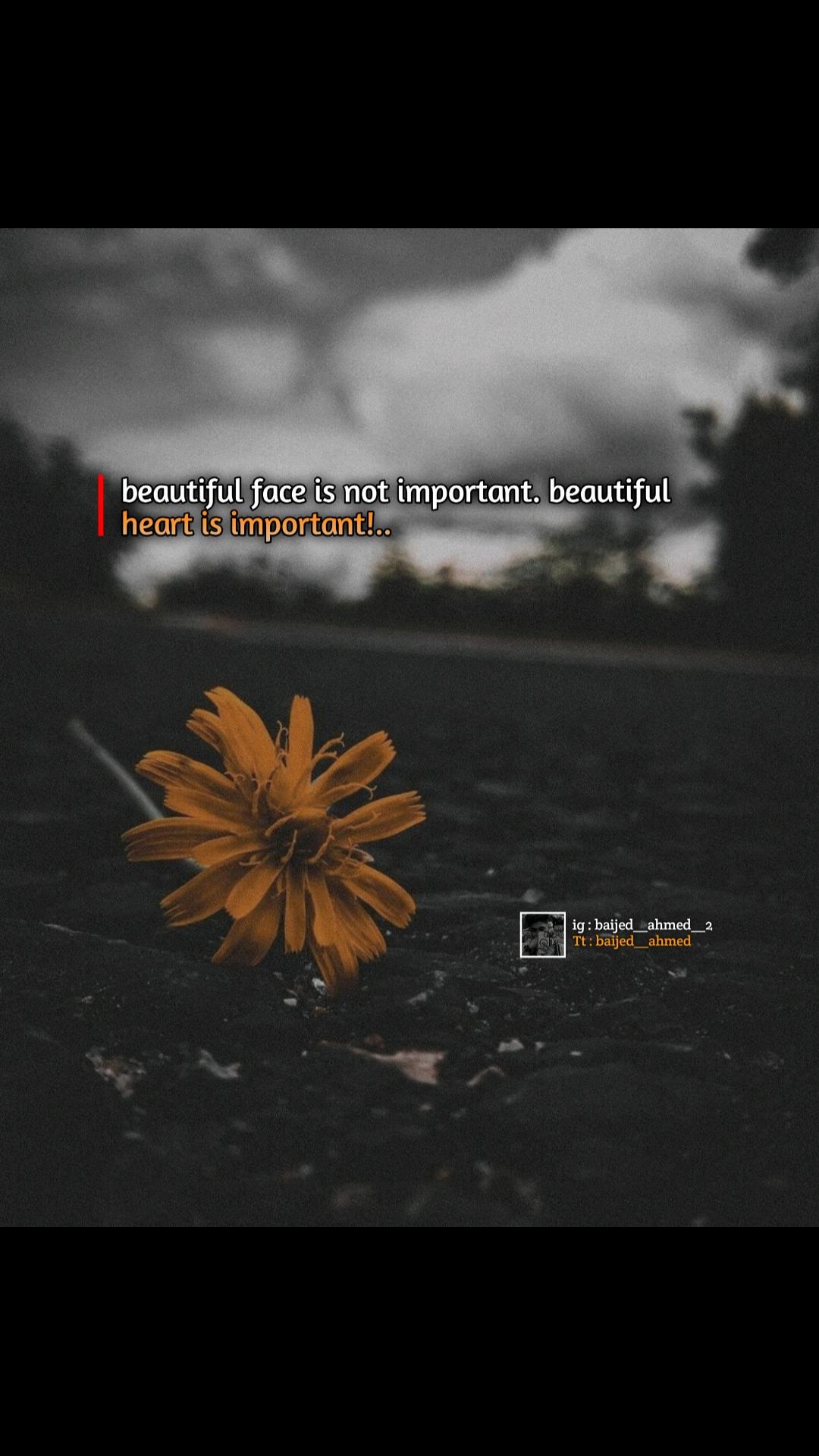 @🦋 𝗕 𝗔 𝐈 𝗝 𝗘 𝗗 🦋